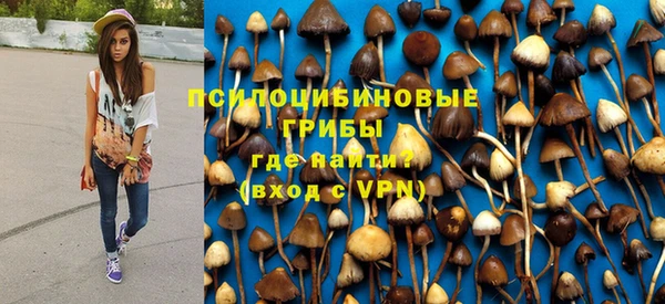 прущие грибы Нязепетровск