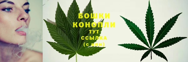 соль курить ск Богданович