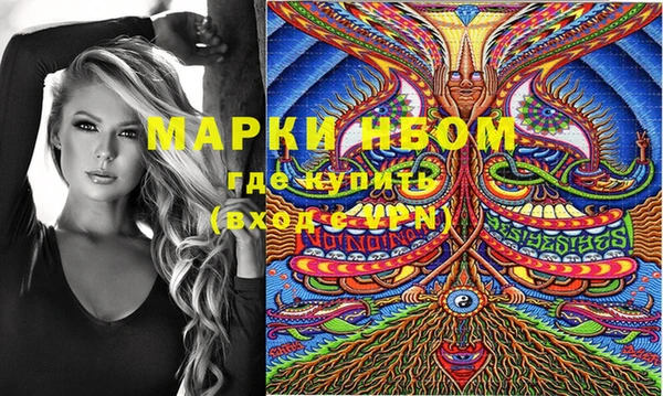 прущие грибы Нязепетровск