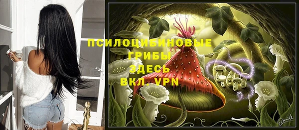 соль курить ск Богданович