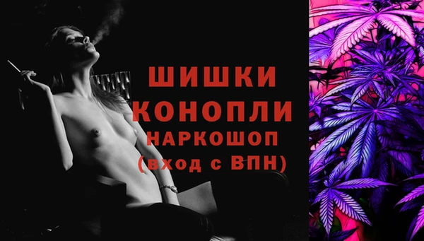 прущие грибы Нязепетровск